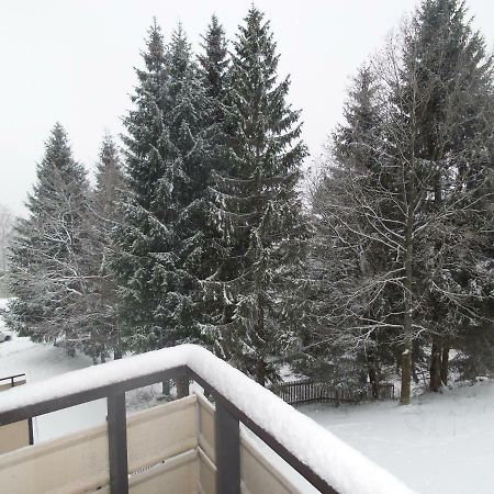 Ferienwohnung Mit Blick In Den Bayrischen Wald Oberhalb Von Sankt Engelmar Sankt Englmar Luaran gambar