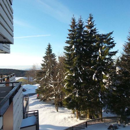 Ferienwohnung Mit Blick In Den Bayrischen Wald Oberhalb Von Sankt Engelmar Sankt Englmar Luaran gambar