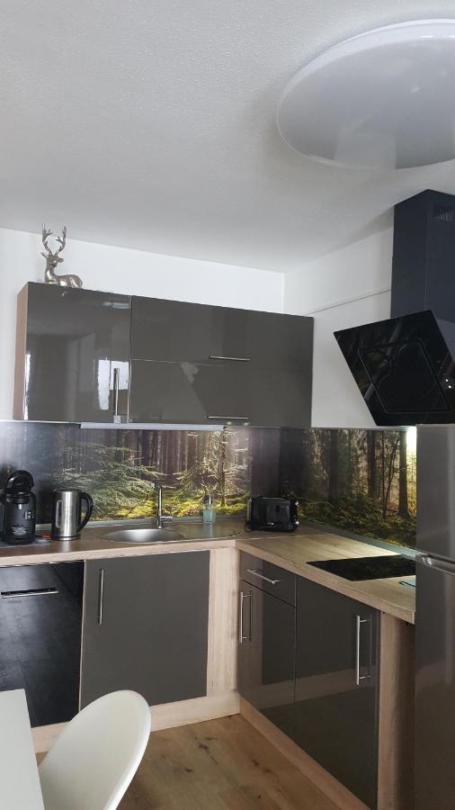 Ferienwohnung Mit Blick In Den Bayrischen Wald Oberhalb Von Sankt Engelmar Sankt Englmar Luaran gambar
