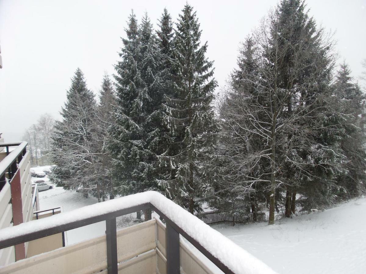 Ferienwohnung Mit Blick In Den Bayrischen Wald Oberhalb Von Sankt Engelmar Sankt Englmar Luaran gambar