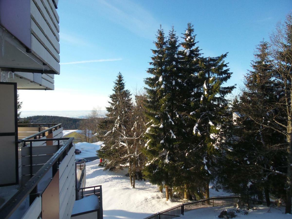 Ferienwohnung Mit Blick In Den Bayrischen Wald Oberhalb Von Sankt Engelmar Sankt Englmar Luaran gambar