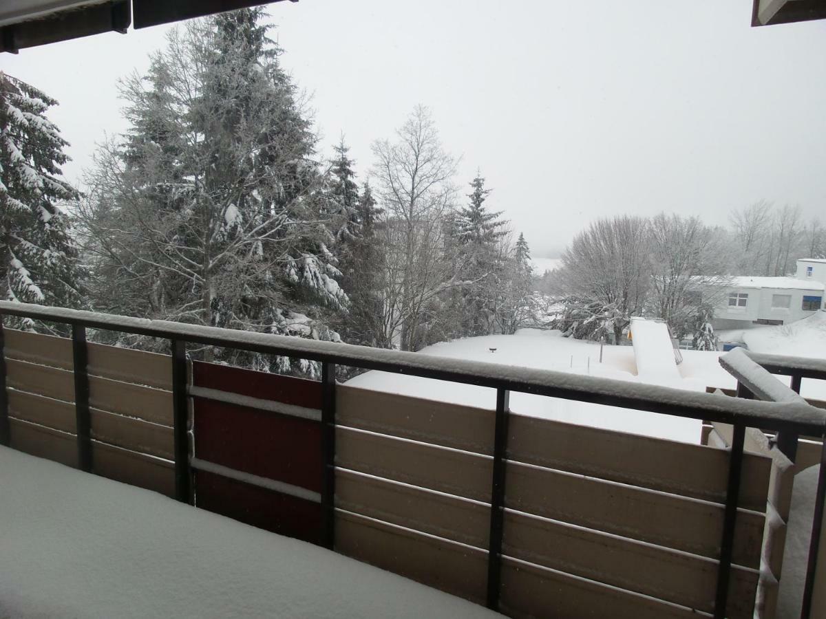 Ferienwohnung Mit Blick In Den Bayrischen Wald Oberhalb Von Sankt Engelmar Sankt Englmar Luaran gambar