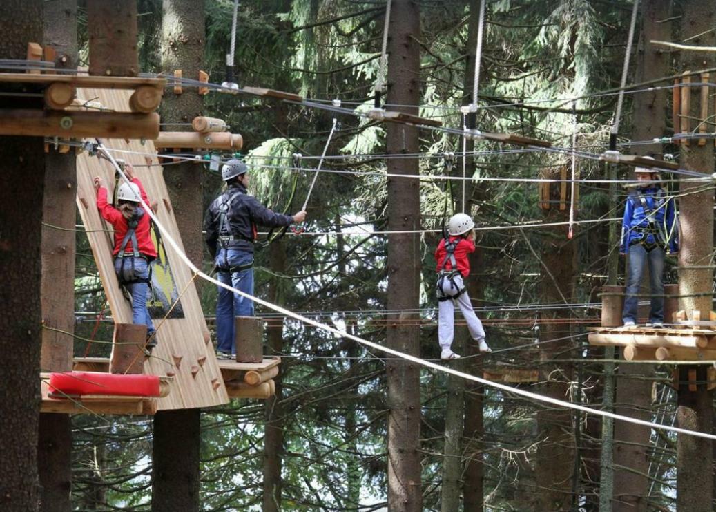 Ferienwohnung Mit Blick In Den Bayrischen Wald Oberhalb Von Sankt Engelmar Sankt Englmar Luaran gambar